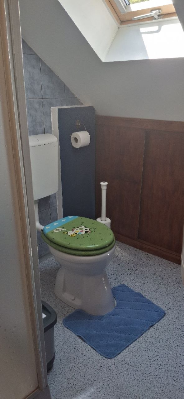 Külön WC tetőablakkal és gyerekbarát zöld üléssel